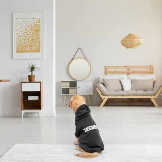 Foto 7 | Foto 7 | Sudaderas Con Capucha Bingpet Security Para Perros Para Climas Fríos Talla Xl - Venta Internacional.