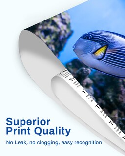 Foto 4 | Foto 4 | Cartuchos De Tinta Vintella Remanufacturados Epson 802xl 802 T802xl T802 - Venta Internacional.