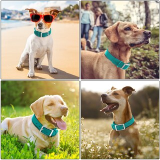 Foto 7 | Foto 7 | Collar Para Perro Wisedog Impermeable Con Ajuste Múltiple De 18 A 60 Cm Color Verde - Venta Internacional.