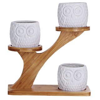 Foto 2 | Foto 2 | Macetas Suculentas Con Soporte De Bambú Cerámica Blanca - Venta Internacional.
