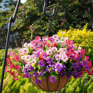 Foto 6 | Foto 6 | Flores Artificiales Trytuny Resistentes A Los Rayos Uv Para Exteriores  20 Unidades - Venta Internacional.