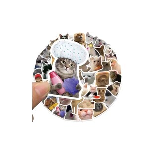 Foto 4 | Foto 4 | Pegatinas Autoadhesivas Para 50 Gatitos Michnis  De 5 A 8 Cm - Venta Internacional.