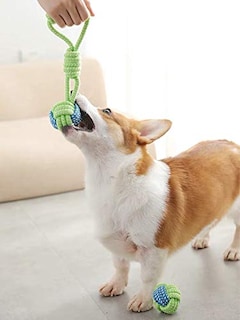 Foto 3 | Foto 3 | Cuerda De Algodón Ecológica Tejida Con Nudos Sunglow Para Perros - Venta Internacional.