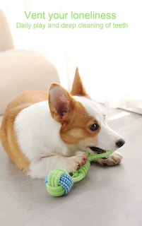 Foto 7 | Foto 7 | Cuerda De Algodón Ecológica Tejida Con Nudos Sunglow Para Perros - Venta Internacional.