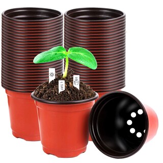 Foto 1 | Foto 1 | Macetas Augshy Para Vivero 220 Unidades 10 Cm Con 30 Etiquetas De Plástico - Venta Internacional.