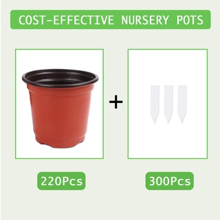Foto 3 | Foto 3 | Macetas Augshy Para Vivero 220 Unidades 10 Cm Con 30 Etiquetas De Plástico - Venta Internacional.