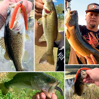 Foto 2 | Foto 2 | Señuelos De Pesca Bombrooster Senko Worms De 12 7 Cm Para Lubina (paquete De 30) - Venta Internacional.