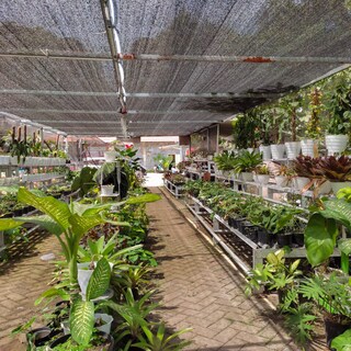 Foto 3 | Foto 3 | Protector Solar Shade Cloth Vicllax 50% 1 8 X 1 8 M Para Jardín O Patio - Venta Internacional.