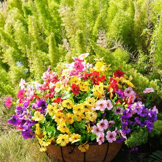 Foto 7 | Foto 7 | Flores Artificiales Trytuny Resistentes A Los Rayos Uv Para Exteriores (paquete De 20) - Venta Internacional.