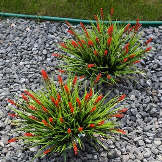 Foto 3 | Foto 3 | Flores Artificiales Calyptus Monkey Grass  12 Paquetes  Color Rojo - Venta Internacional.