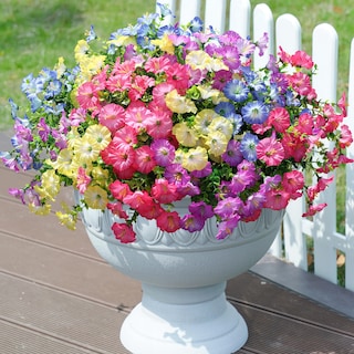Foto 1 | Foto 1 | 12 Paquetes De Flores Artificiales Ivydale Morning Glory Con Eucalipto - Venta Internacional.