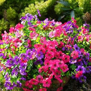 Foto 5 | Foto 5 | Flores Artificiales Trytuny Resistentes A Los Rayos Uv Para Exteriores (paquete De 20) - Venta Internacional.
