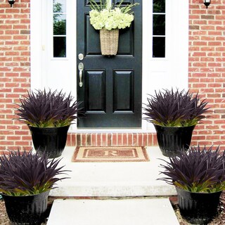 Foto 7 | Foto 7 | Planta De Césped Artificial Dehoxara Resistente A Los Rayos Uv 24 Unidades Color Morado Oscuro - Venta Internacional.