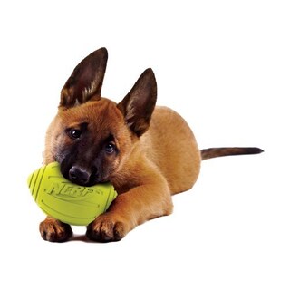 Foto 5 | Foto 5 | Pelota De Fútbol Nerf Dog Ridged Con Chirriador Interactivo - Venta Internacional.