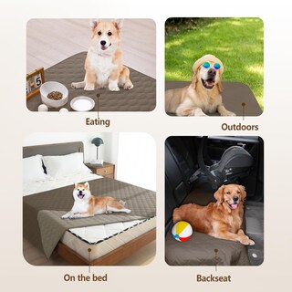 Foto 2 | Foto 2 | Manta Para Perro Gogobunny Impermeable 100% Doble Cara 30 X 30 Cm - Venta Internacional.