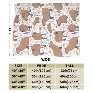 Foto 3 | Foto 3 | Manta De Peluche Putxubio Capybara Gifts Capybara 130 X 150 Cm - Venta Internacional.