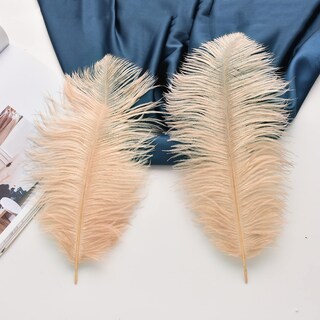 Foto 4 | Foto 4 | Avestruz Champán Grande Feathers Ballinger De 30 A 35 Cm 24 Unidades - Venta Internacional.