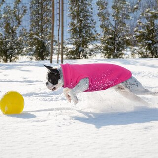 Foto 3 | Foto 3 | Jersey De Invierno Pumyporeity Rose Pink Para Perro Y Gato Talla Xl - Venta Internacional.