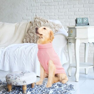 Foto 7 | Foto 7 | Suéter Para Perro Mihachi Abrigo De Invierno Clásico De Punto Trenzado Tamaño Mediano - Venta Internacional.