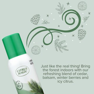 Foto 6 | Foto 6 | Ambientador En Aerosol Citrus Magic Holiday Winter Wonder 100 Ml - Venta Internacional.