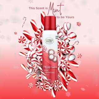 Foto 3 | Foto 3 | Espray Ambientador Citrus Magic Holly Jolly Peppermint 90 Ml X 3 - Venta Internacional.