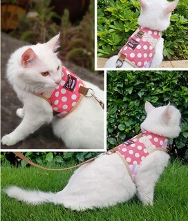 Foto 4 | Foto 4 | Set De Arnés Y Correa Para Gatos Yizhi Miaow Ajustable Con Lunares - Venta Internacional.