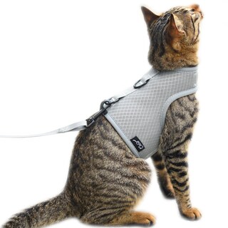 Foto 1 | Foto 1 | Set De Arnés Y Correa Para Gatos Yizhi Miaow Ajustable Gris Xxl - Venta Internacional.