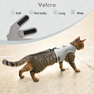 Foto 4 | Foto 4 | Set De Arnés Y Correa Para Gatos Yizhi Miaow Ajustable Gris Xxl - Venta Internacional.