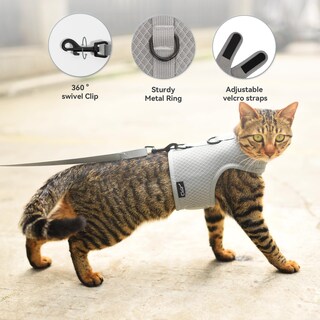 Foto 5 | Foto 5 | Set De Arnés Y Correa Para Gatos Yizhi Miaow Ajustable Gris Xxl - Venta Internacional.