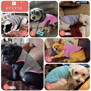 Foto 5 | Foto 5 | Camisas Para Perros Kyeese Con Etiqueta Reflectante Elástica De Secado Rápido Paquete De 2 - Venta Internacional.