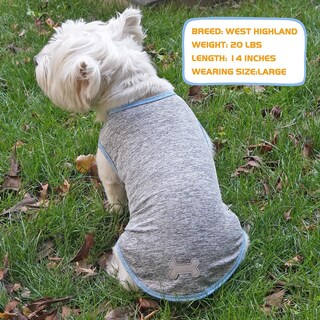 Foto 6 | Foto 6 | Camisas Para Perros Kyeese Con Etiqueta Reflectante Elástica De Secado Rápido Paquete De 2 - Venta Internacional.