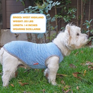 Foto 7 | Foto 7 | Camisas Para Perros Kyeese Con Etiqueta Reflectante Elástica De Secado Rápido Paquete De 2 - Venta Internacional.