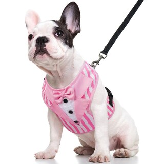 Foto 1 | Foto 1 | Arnés De Esmoquin Kuoser Ajustable Sin Tirones Para Perros Pequeños - Venta Internacional.