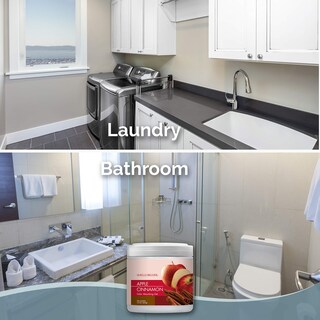 Foto 7 | Foto 7 | Gel Absorbente De Olores Smells Begone 450 Ml Paquete De 2 - Venta Internacional.