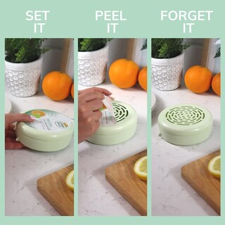 Foto 5 | Foto 5 | Ambientador Citrus Magic Que Absorbe El Olor De Cítricos Frescos 240 Ml X 6 - Venta Internacional.