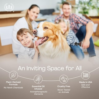 Foto 6 | Foto 6 | Spray Eliminador De Olores Home Ritual Active Muse Apothecary - Venta Internacional.