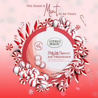 Foto 4 | Foto 4 | Ambientador Citrus Magic Holly Jolly Peppermint 200 Ml X3 - Venta Internacional.
