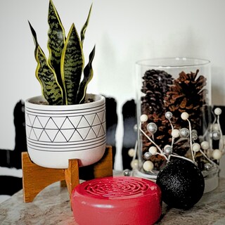 Foto 5 | Foto 5 | Ambientador Citrus Magic Holly Jolly Peppermint 200 Ml X3 - Venta Internacional.