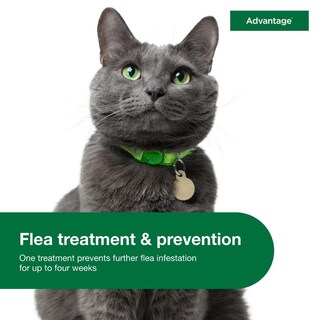 Foto 5 | Foto 5 | Tratamiento Y Prevención De Pulgas Para Gatos Grandes De 4 Kg O Más De 2 Meses - Venta Internacional.