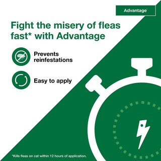 Foto 6 | Foto 6 | Tratamiento Y Prevención De Pulgas Para Gatos Grandes De 4 Kg O Más De 2 Meses - Venta Internacional.