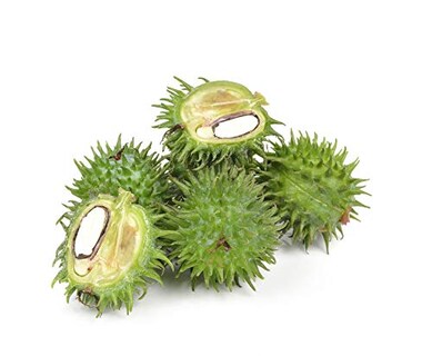 Foto 5 | Foto 5 | Aceite De Ricino Orgánico Estadounidense 100% Puro Y Natural 240 Ml - Venta Internacional.