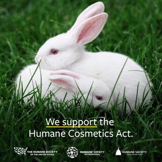 Foto 6 | Foto 6 | Aceite De Ricino Orgánico Estadounidense 100% Puro Y Natural 240 Ml - Venta Internacional.