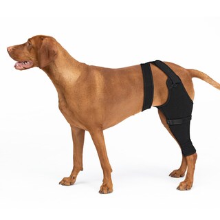 Foto 1 | Foto 1 | Funda Quirúrgica Joypig Para La Parte Trasera De La Pierna Para Perro Suave Y Transpirable - Venta Internacional.
