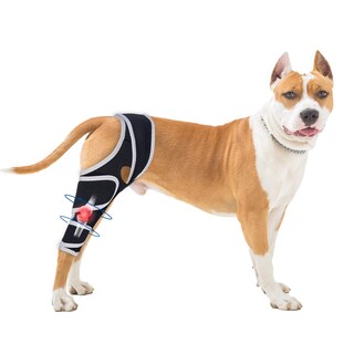 Foto 1 | Foto 1 | Rodillera Para Perros Moysoon Para Desgarro Del Ligamento Cruzado Anterior Y Pata Trasera Universal Xl - Venta Internacional.
