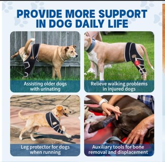 Foto 3 | Foto 3 | Rodillera Para Perros Moysoon Para Desgarro Del Ligamento Cruzado Anterior Y Pata Trasera Universal Xl - Venta Internacional.