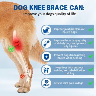 Foto 4 | Foto 4 | Rodillera Para Perros Moysoon Para Desgarro Del Ligamento Cruzado Anterior Y Pata Trasera Universal Xl - Venta Internacional.