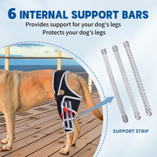 Foto 7 | Foto 7 | Rodillera Para Perros Moysoon Para Desgarro Del Ligamento Cruzado Anterior Y Pata Trasera Universal Xl - Venta Internacional.