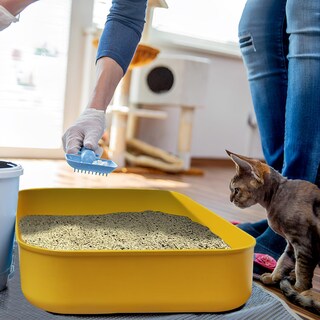 Foto 6 | Foto 6 | Caja De Arena Para Gatos Gcvopton Pequeña De Plástico 5 Piezas (5 Colores) - Venta Internacional.