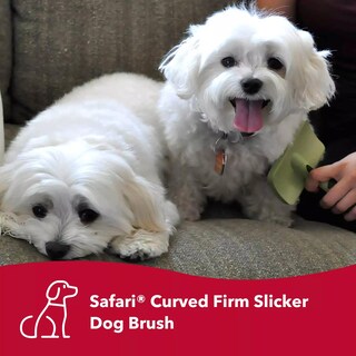 Foto 3 | Foto 3 | Slicker Brush Coastal Para Aseo Y Muda De Perros Color Verde - Venta Internacional.