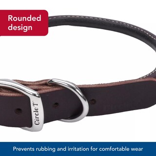 Foto 4 | Foto 4 | Collar Para Perro Coastal Pet Circle T Latigo Leather 1 X 24 Cm - Venta Internacional.